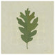 "Forest Leaves II no Lines" Digital Paper Print by Kathrine Lovell, 42"x42"