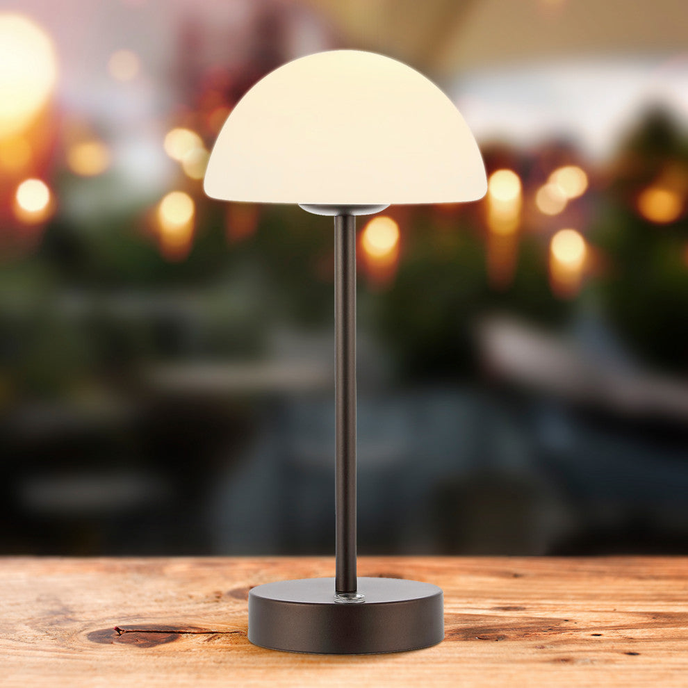 12.5" Modern Minimalist Iron Rechargeable Integrated LED Table Lamp, Black