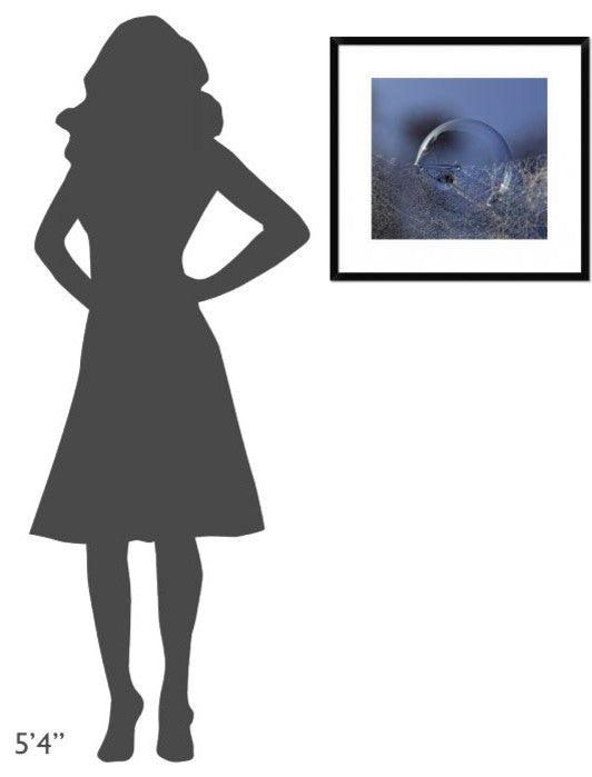 "Blue Bubble Morning" Framed Digital Print by Kent Mathiesen, 24x22"