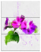 Stem of Convolvulus Flower Drawing, Floral Triptych Canvas Art, 28x36, 3 Panels