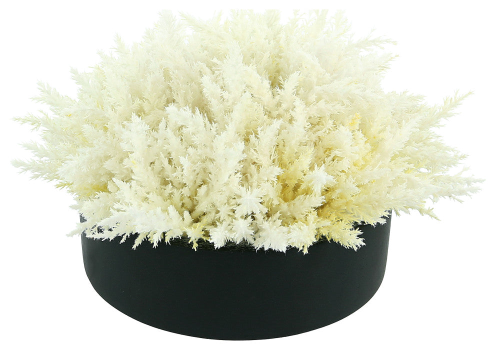 Pampas Grass in Round Fiberstone Planter