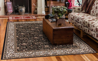 Brilliant Rug, 7'10"x10'10"