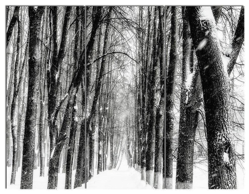 Snowy Forest Black and White, Modern Forest Triptych Canvas Art, 36x28, 3 Panels