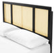 Platform Bed Frame, King Size, Wood, Black, Modern Mid-Century, Bedroom Master