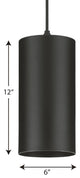 Cylinder 6" 1-Light LED Modern Outdoor Pendant Hanging Light, Black