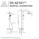 Heavy Rainfall Stainless Steel Shower Bar with Hand Sprayer, Matte Black