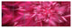 Rotating Fractal Pink Fireworks, Floral Canvas Art Print, 70"x28", 6 Panels