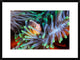 "Clownfish" Framed Digital Print by Barathieu Gabriel, 30x22"
