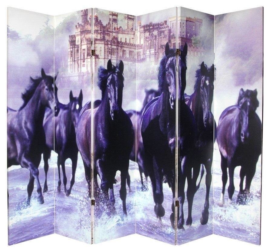 6'' Tall Double Sided Horses Canvas Room Divider 6 Panel