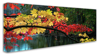 Kurt Shaffer 'Autumn Red and Gold' Canvas Art