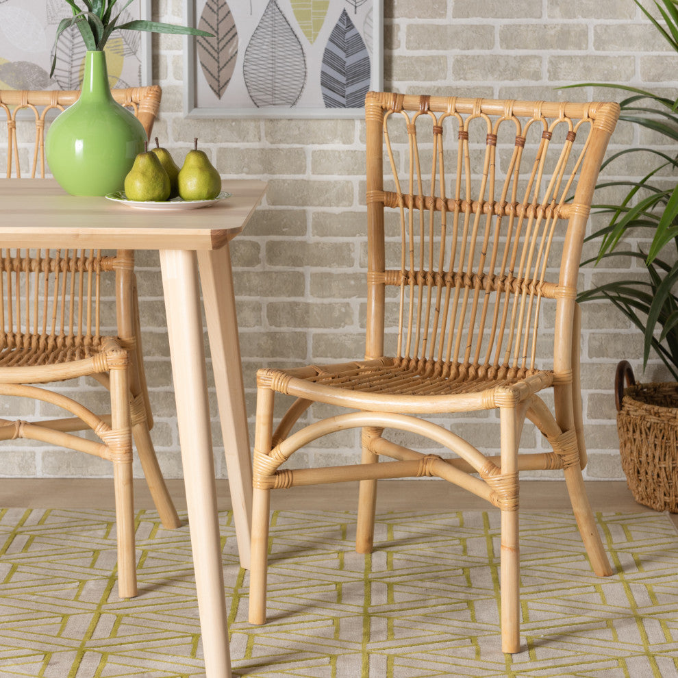 Ammi Modern Bohemian Natural Brown Rattan 2-Piece Dining Chair Set