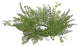 17" Decorative Artificial Mixed Green Fern Hurricane Glass Candle Holder