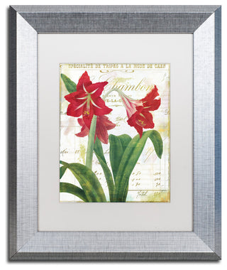 Color Bakery 'Peppermint Amaryllis' Art, Silver Frame, White Matte, 11"x14"