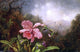 Martin Johnson Heade Two Hummingbirds by an Orchid Wall Decal Print