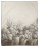 Potted Cacti 50x60 Coral Fleece Blanket