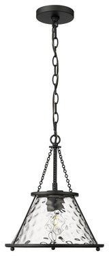 1 Light 12.5" Matte Black Pendant