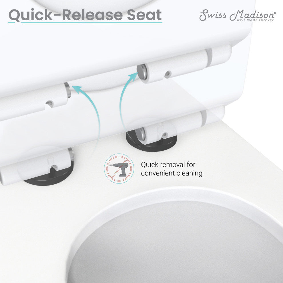 Sublime 1-Piece Elongated Toilet Dual Flush, Black Hardware 1.1/1.6 gpf