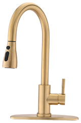Pull Down Single Handle Kitchen Faucet, Brushed Gold