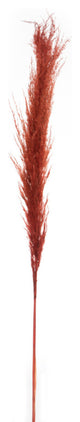 Vickerman 46" Dried Pampas Grass, Bordeaux
