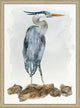 Oversized Heron Study 1, Giclee Reproduction Artwork