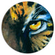 Ferocious Eye Of Tiger, Animal Round Wall Art, 36"
