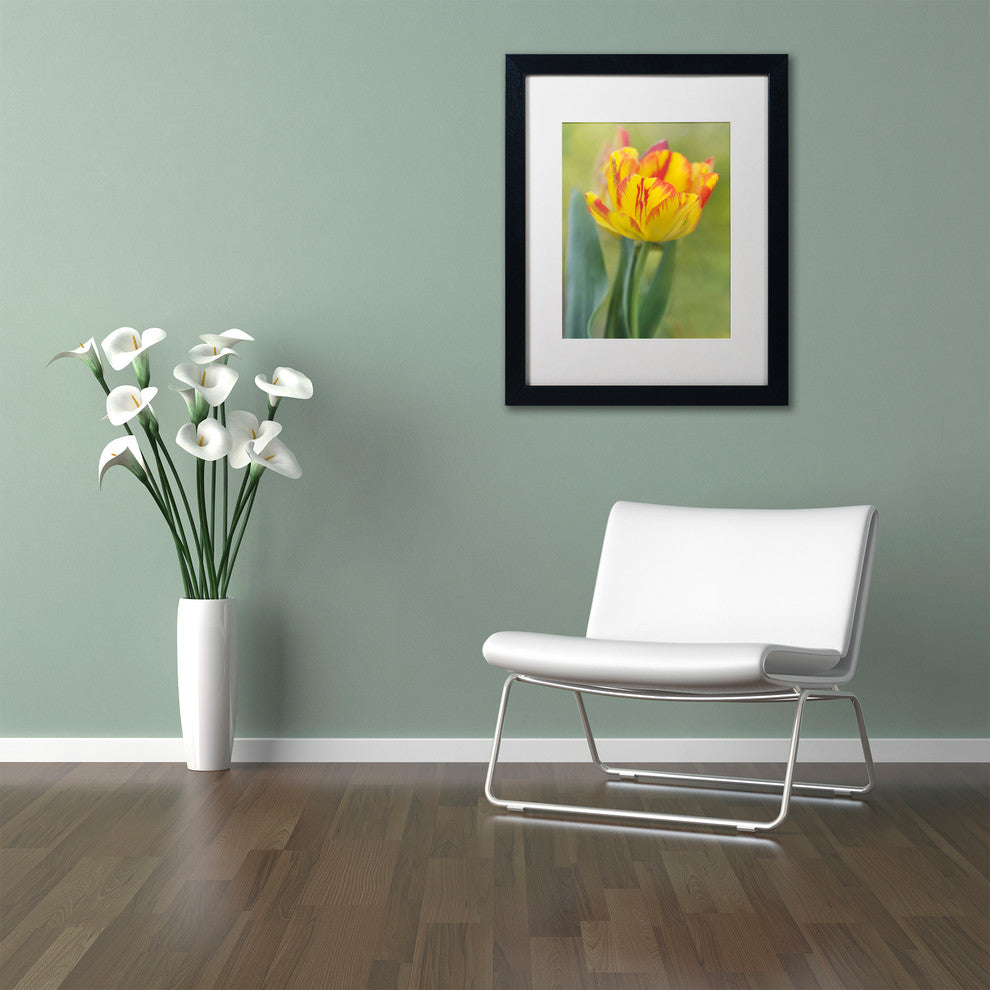 Cora Niele 'Rembrandt Tulip' Matted Framed Art