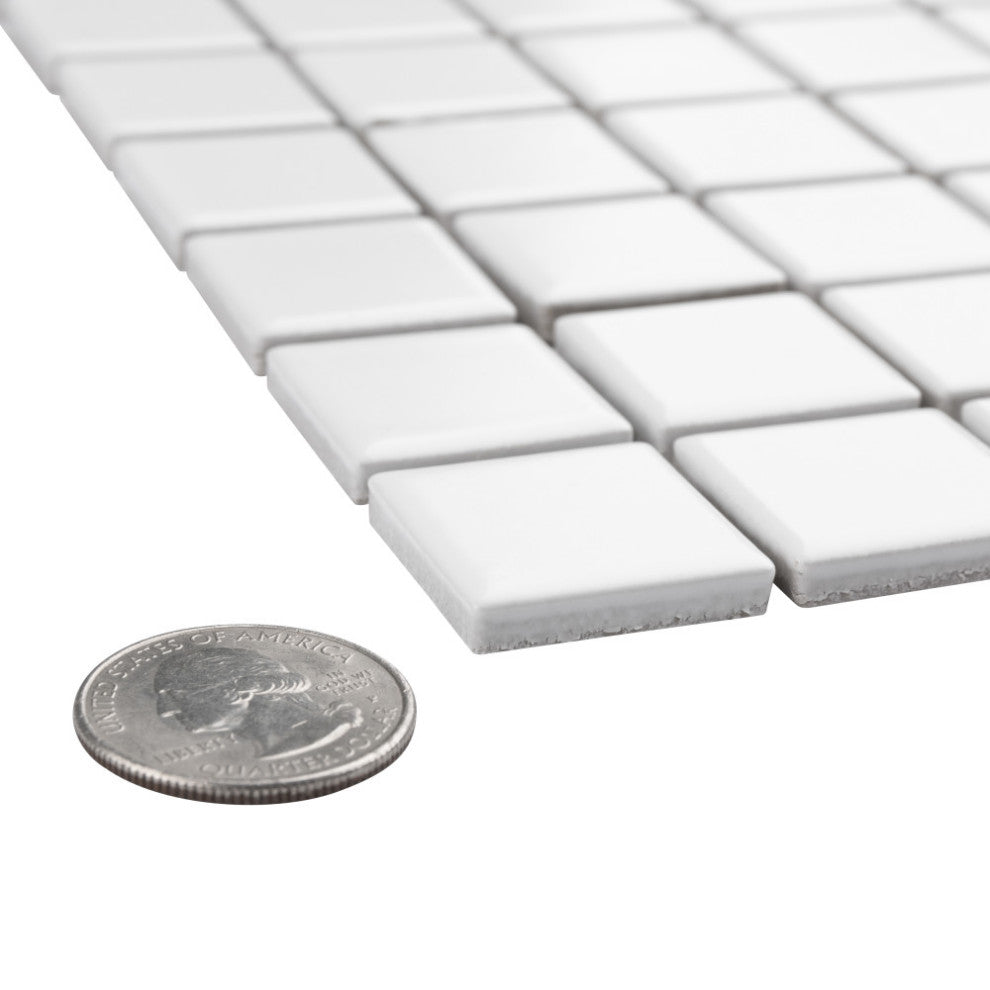 Metro 1" Square Matte White Porcelain Floor and Wall Tile
