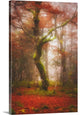 "In the Mood of Autumn" Wrapped Canvas Art Print, 24"x36"x1.5"