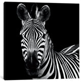 Zebra II by Debra Van Swearingen