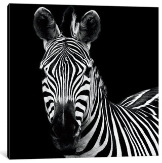 Zebra II by Debra Van Swearingen