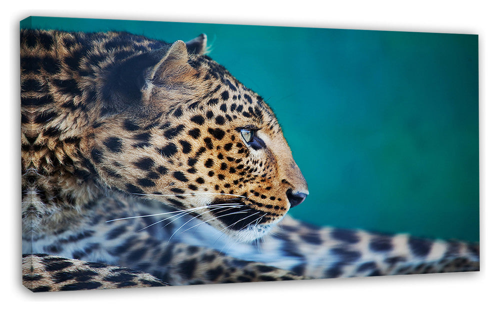 Vigilant Leopard Close Up View, Extra Large African Canvas Art Print, 32"x16"