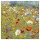 "Champ de Fleur II" Digital Paper Print by Shirley Novak, 20"x20"