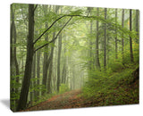 "Early Green Fall Forest" Landscape Canvas Photo Print, 40"x30"