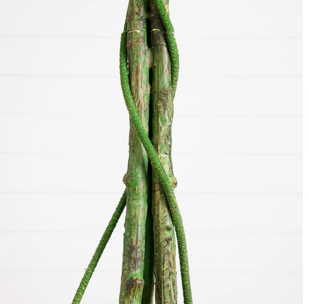 Close-up of trunk/branch area on white background.