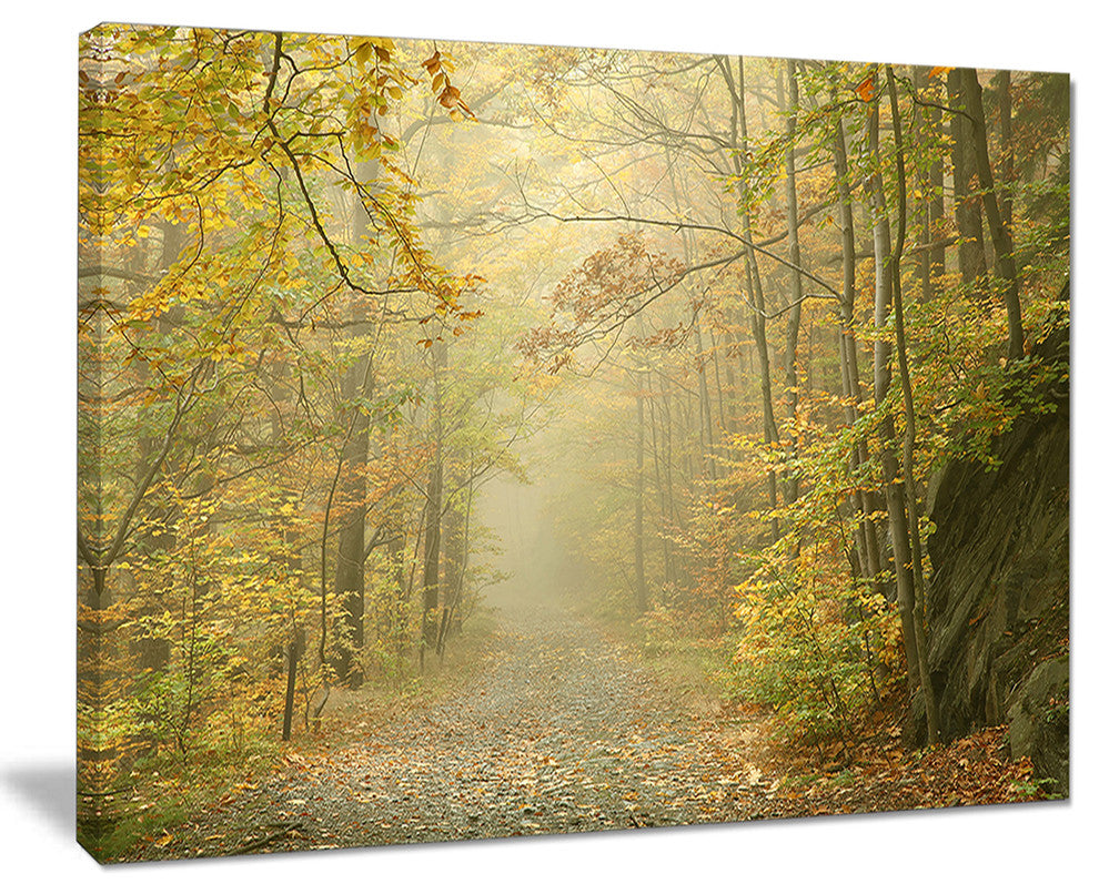 "Autumn Forest Path on Misty Morning" Canvas Print, 20"x12"