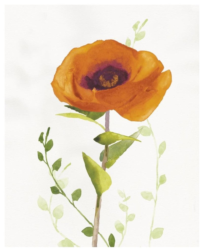 "Some Favorites II" Digital Paper Print by Shirley Novak, 30"x37"