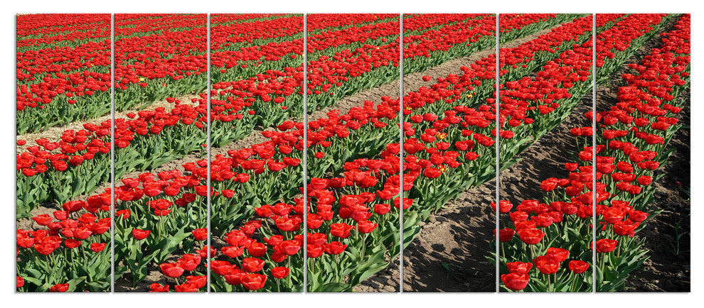 Rows of Red Tulip Flowers, Floral Canvas Art print, 83"x32", 7 Panels