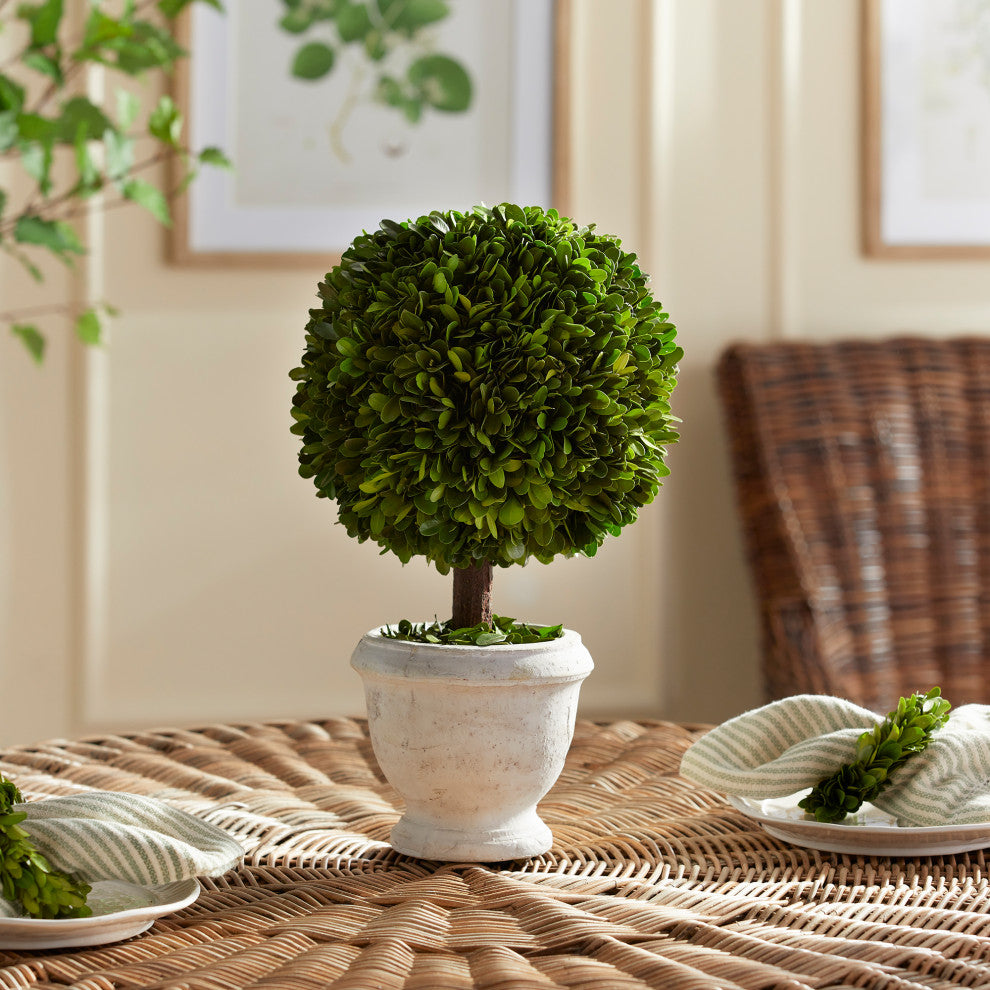 Boxwood Single 9" Diameter Ball Topiary In Pot