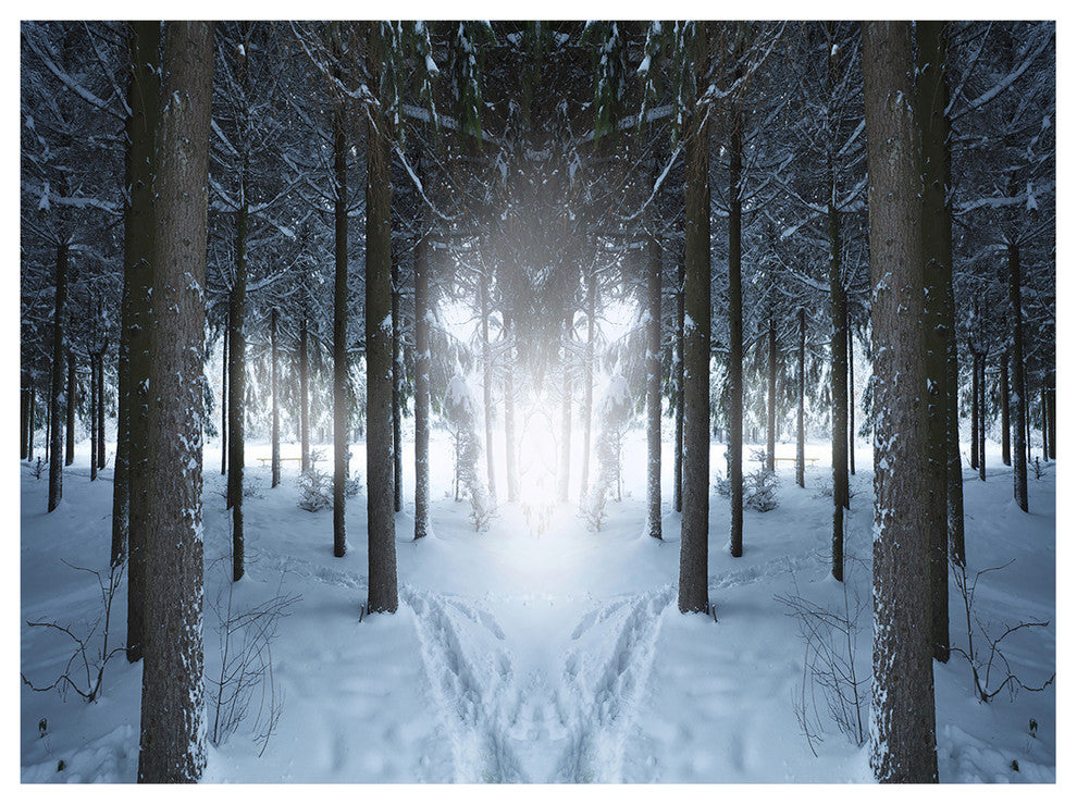 Winter Forest with Dark Woods, Landscape Canvas Art Print, 40"x30"