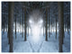 Winter Forest with Dark Woods, Landscape Canvas Art Print, 40"x30"