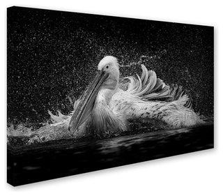 C S Tjandra 'Bath' Canvas Art, 12x19