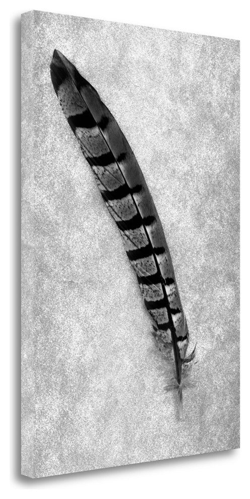 "Feathers - 6" By Alan Blaustein, Giclee Print on Gallery Wrap Canvas