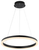 Baxter 1-Light Aluminum Integrated LED Hoop Pendant, Black