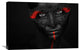 "Dark Passion" Stretched Canvas Giclee by Petko Petkov, 30"x20"