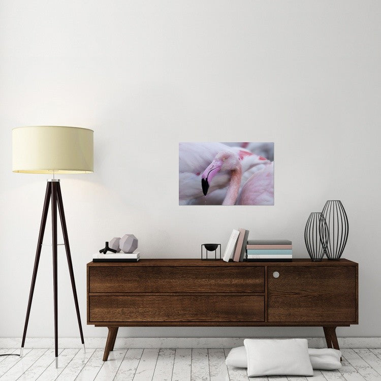 "Unique Mildness" Stretched Canvas Giclee by Martine Benezech, 30"x20"