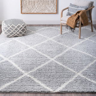 Derry Transitional Diamond White Rectangle Area Rug, 4'x5'