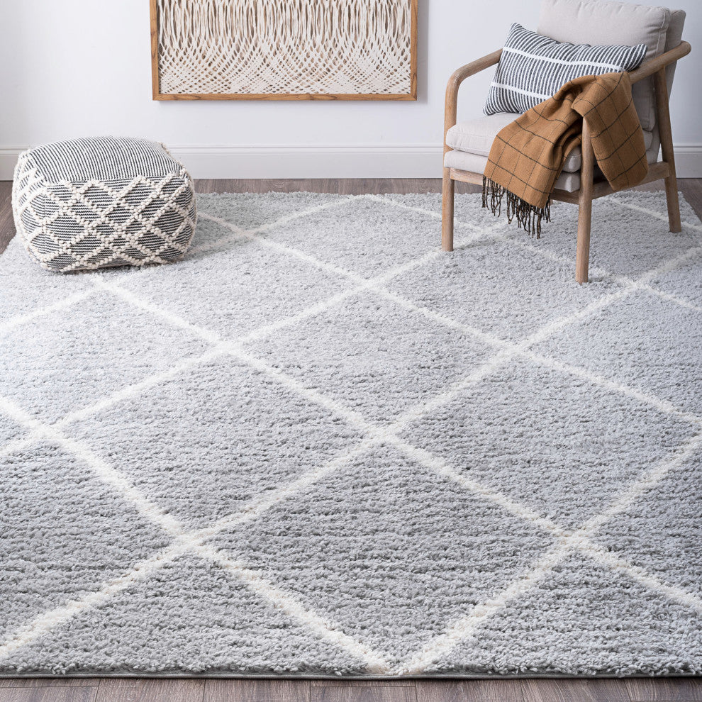 Derry Transitional Diamond White Rectangle Area Rug, 4'x5'