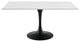Modern Designer Room Rectangle Dining Table, Wood Metal Steel, Black White