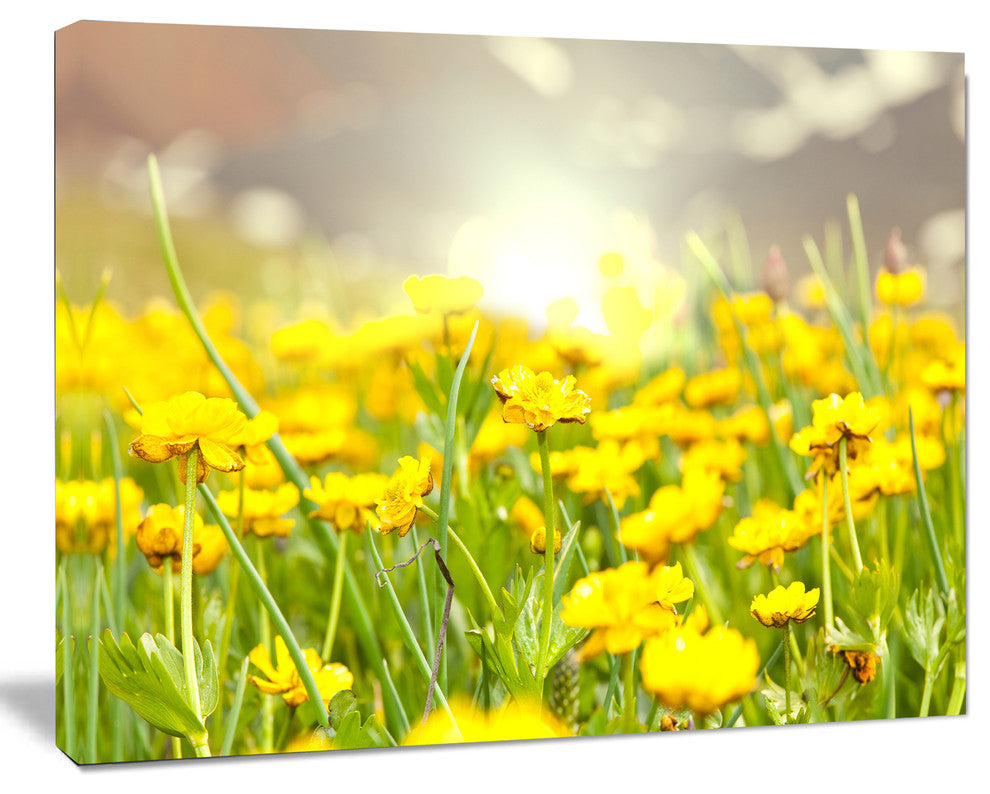 Sunny Meadow with Yellow Flowers, Floral Canvas Art Print, 40"x30"