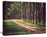 Vintage Style Forest with Pathway, Modern Forest Canvas Art, 20"x12"